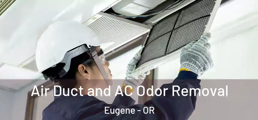 Air Duct and AC Odor Removal Eugene - OR