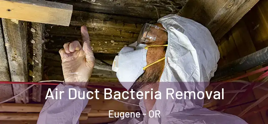 Air Duct Bacteria Removal Eugene - OR