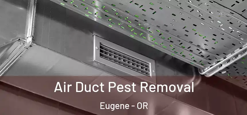 Air Duct Pest Removal Eugene - OR
