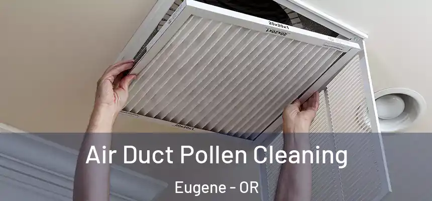 Air Duct Pollen Cleaning Eugene - OR