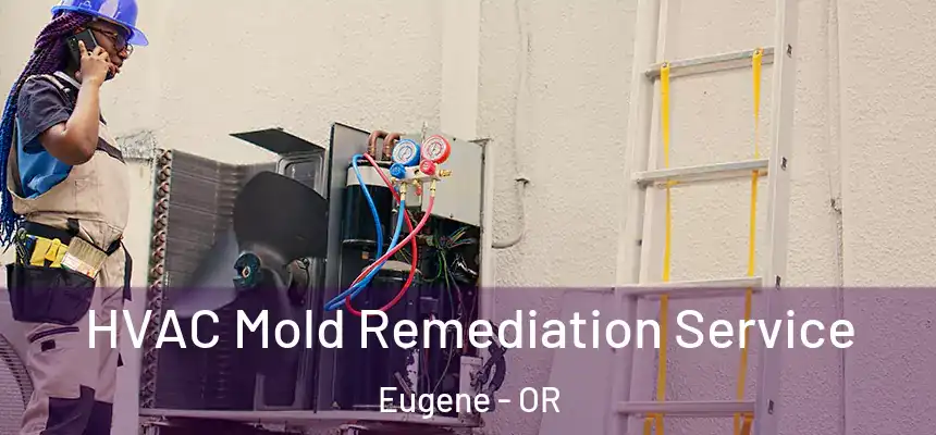HVAC Mold Remediation Service Eugene - OR