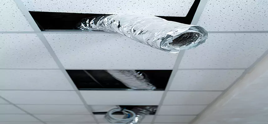 Our Air Duct Pet Hair Removal Services in Eugene, OR