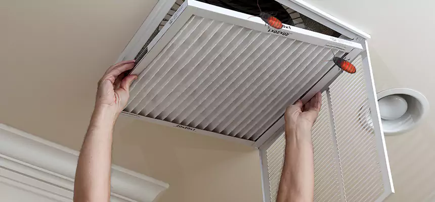 Our Insect Removal from Air Ducts Services in Eugene, OR