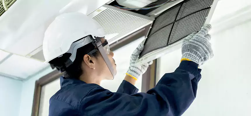 Our Mold & Mildew Removal from Air Ducts Services in Eugene, OR