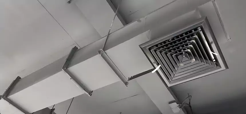 Our Rodent Droppings In Vents Services in Eugene, OR