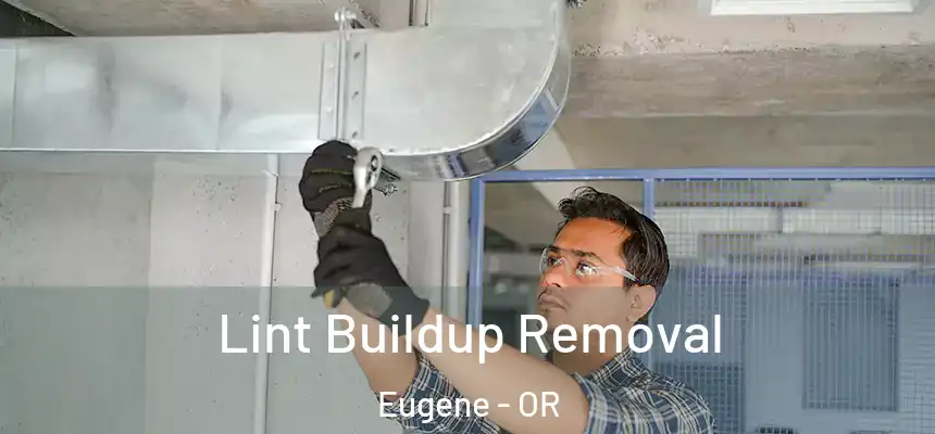 Lint Buildup Removal Eugene - OR