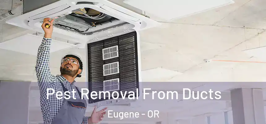 Pest Removal From Ducts Eugene - OR