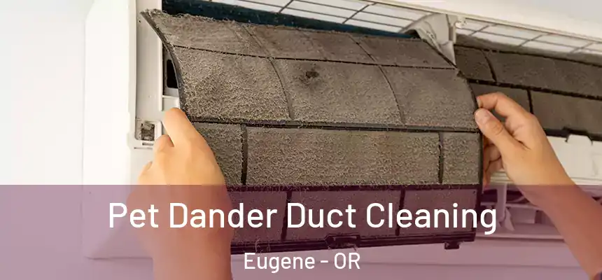 Pet Dander Duct Cleaning Eugene - OR