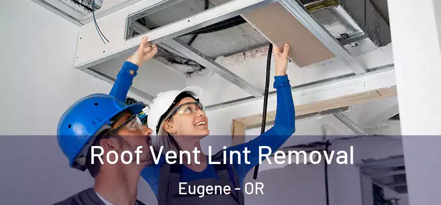  Roof Vent Lint Removal Eugene - OR