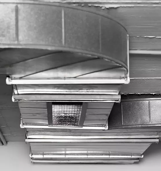 Professional Air Duct Pest Removal in Eugene, OR