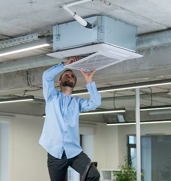 Advanced Rodent Droppings In Vents in Eugene, OR