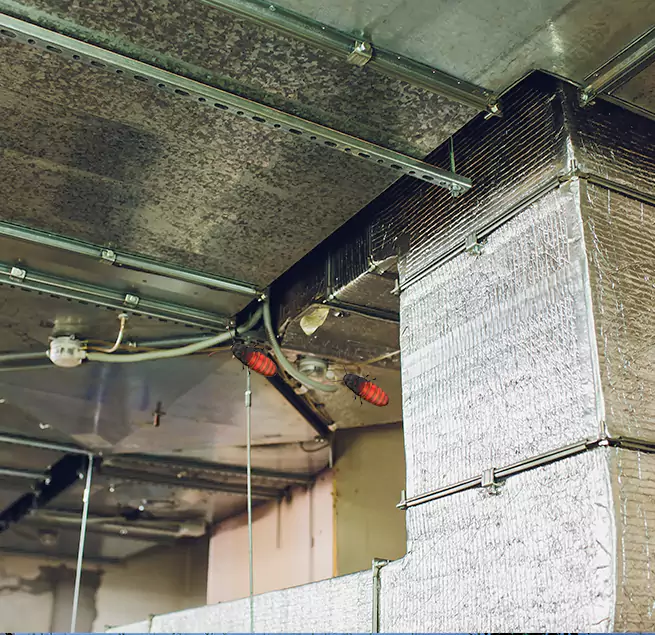 Why Homeowners & Businesses Trust Us in Eugene, OR?