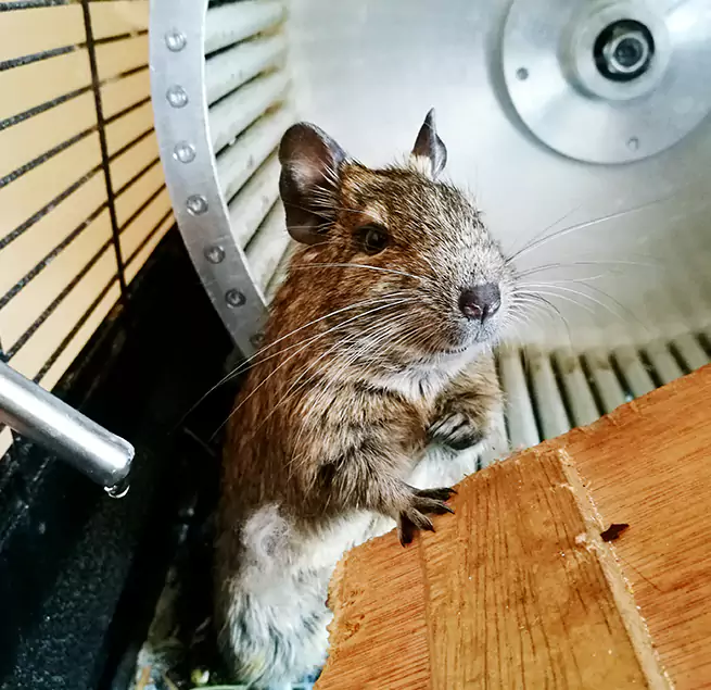 Why Homeowners & Businesses Trust Us Eugene, OR